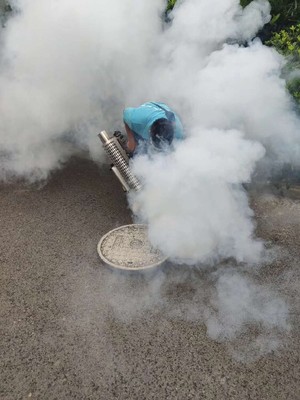 都江堰专业灭蟑螂与消毒服务指南 守护健康，安心生活