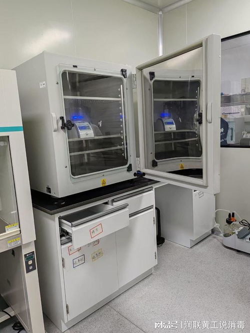 科研细胞培养污染的防控策略与消毒服务价格解析